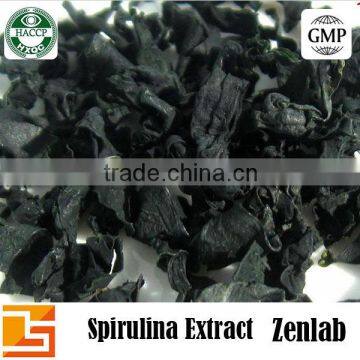 bulk spirulina powder 100% pure spirulina powder for wholesale organic spirulina powder