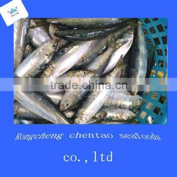 canned sardine in vegetable oil