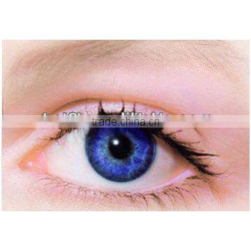 Polymacon and soft color contact lens/superior design palno color contact lens/wholesale original tinted contact lens