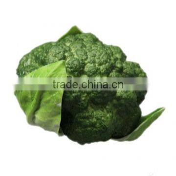 PU green cauliflower for garden diaplay