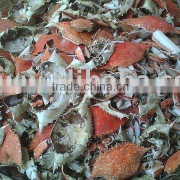 Good Quality of Sun Dried Shrimp Shell