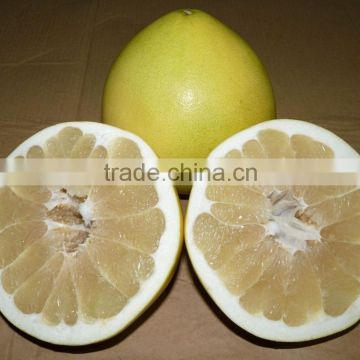 2015 new crop fresh pomelo for sale from Pinghe