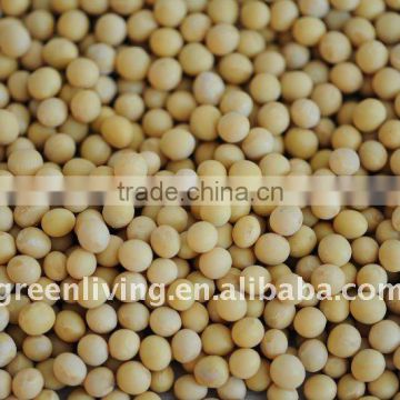 chinese super quality dry soybean