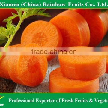 Natural organic fresh red baby carrot price from China