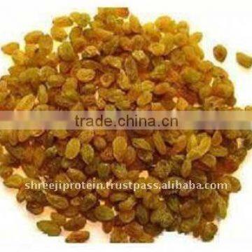 raisins Dried
