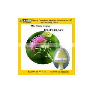 GMP Manufacturer Supply 100% Pure Milk Thistle Extract With 80% Silymarin