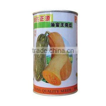 Linong Seeds Pumpkin Best Pumpkin Seeds
