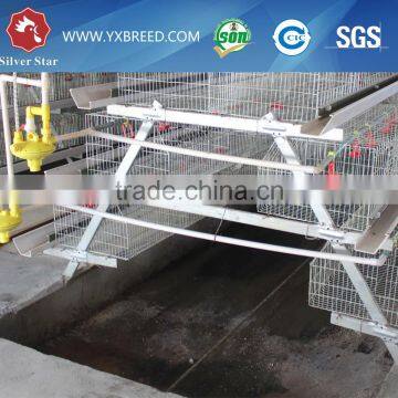Types of Poultry House With Egg Collection System Machine photo-4