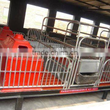 Pig Farming Equipment For Pig Farrow Crates photo-3
