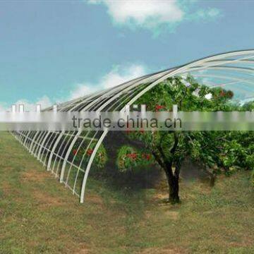 Low Cost Plastic Covered Rose Greenhouse Tunnel photo-3
