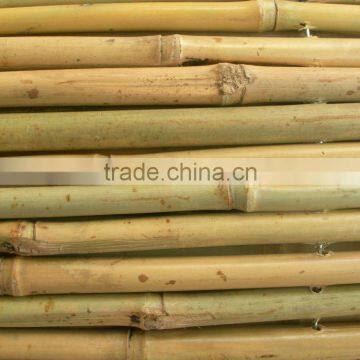 Cheap Bamboo Fence Roll photo-2