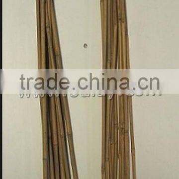 U-hoop Bamboo Poles Baoboo Canes for Agriculture photo-5