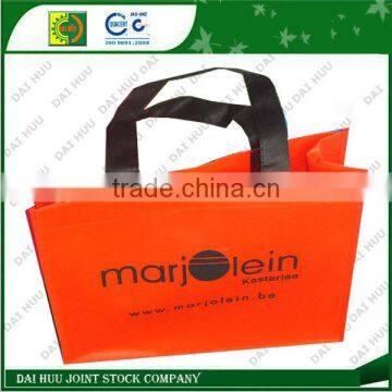 Fashional Lamination with BOPP shopping bag