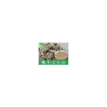 Angelica Sinensis Extract