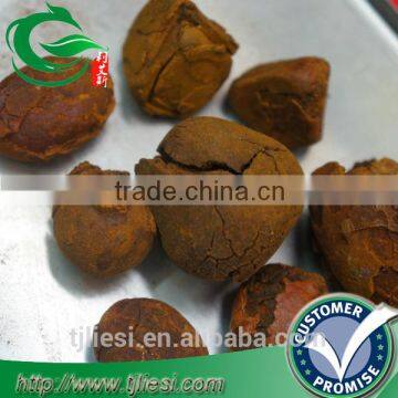 supply 2016 ox gallstones with low price