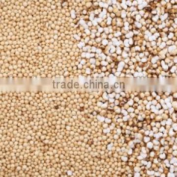 High Quality Organic Amaranth Seeds Exporters