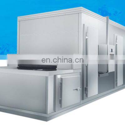 1000kg Frozen Fruit Vegetable Processing Line Price/iqf Freezer Vegetables Line photo-5