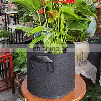 2022 Planting Vegetable Sustainable Nursery Strawberry Garden 5 Fabric 30 Felt 100 Gallon Grow Bags