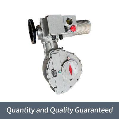 Bernard Intelligent High-power B+RS1000/F105Z Angle Travel Electric Actuator photo-2