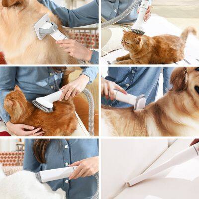 Wholesale Pet Hair Vacuum Cleaner From Factory 450W/100V-240V Home Use With LCD and 6 Heads photo-3