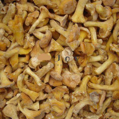 IQF Frozen Chanterelles Mushroom Cantharellus Cibarius