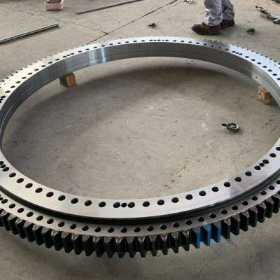 Fuwa Quy250 Q25002-9 Slewing Bearing photo-2