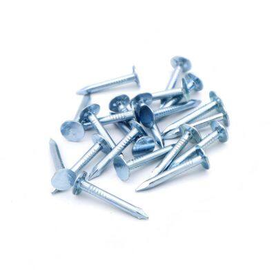 Construction-Grade Felt Nails - Consistent Strength and Deformation Resistance photo-4