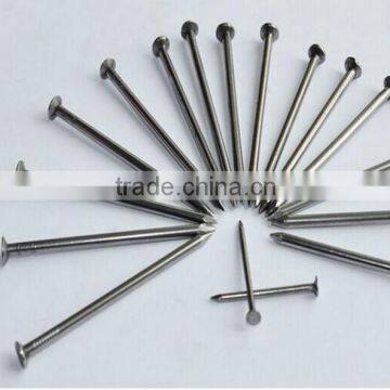 Common Nail 2.5 Inch Common Nail Iron Nail Factory photo-3