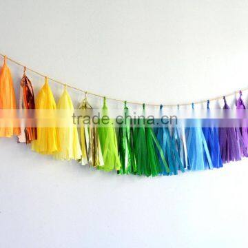 DIY Party Supplies Hanging Tissue Paper Tassel Garland for Wedding Decoration