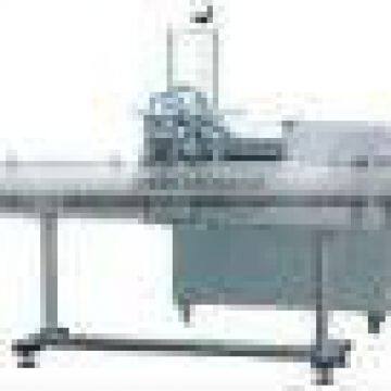 RGY2T-1G Linear Filling Machine