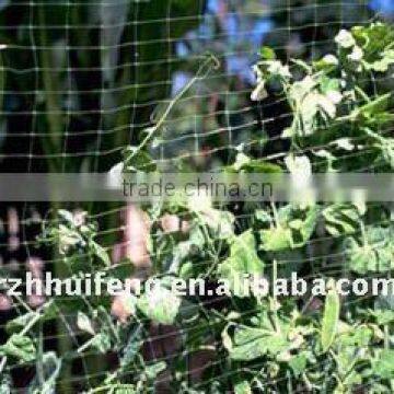 Garden nets/Plant support nets/Anit-bird nets