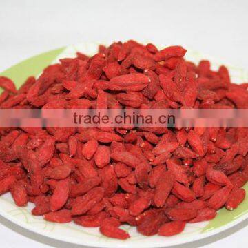 2015new Dried Dried Goji Berries promotion