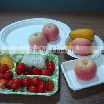 sugarcane tableware