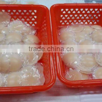 Sex Silicone Nipple Cover photo-4