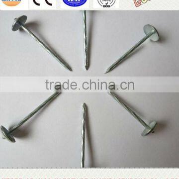 umbrella head roofing nails for asphalt shingles