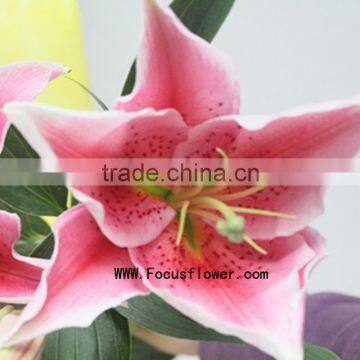 Supply Fragrant Flower 2016 Natural Real Touch Lilium Lily For Cut Flower With 10 Stems/Bundle Yellow Spray Lily Named As Fresh