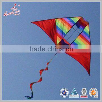 Shandong Factory 3D Delta kite with spinner