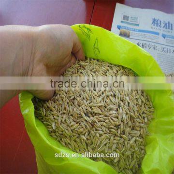 raw barley just for animal feed purpose