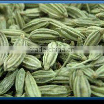 Fennel Seed