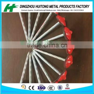 COLOR PAINT COATED ROOFING NAILS WITH UMBRELLA HEAD WASHER