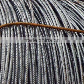 Tangshan Hot Rolled Steel Wire Rods SAE1008/SAE1006 photo-4