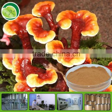 pure reishi mushroom extract polysaccharides