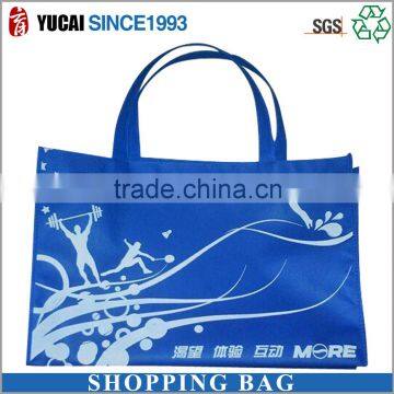 Wholesale Eco style Customized Non-woven Bag for Shopping