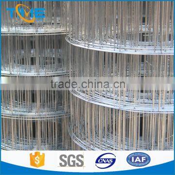 Factory cheap stainless steel welded wire mesh /304 welded wire mesh