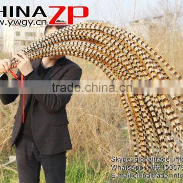 No.1 Supplier ZPDECOR Best Selling Cheap Large Natural 140-150cm Length Super Large Reeves Venery Pheasant Tail Feathers photo-2