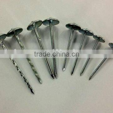 umbrella head Roofing nail with twisted shank