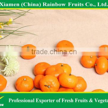 Fresh Fruits Of Chinese Honey Sweet Baby Mandarin