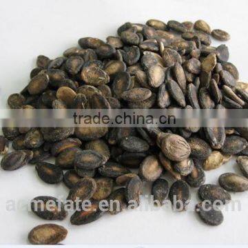 foodstuff / The new crop black watermelon seeds A gradefrom China