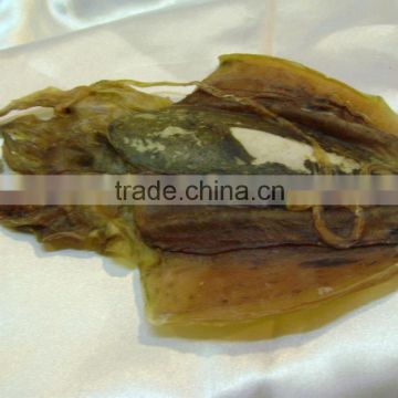 100% PURITY DRIED CUTTLEFISH from China