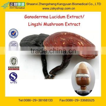 GMP Factory Supply Natural Polysaccharides/Reishi Mushroom Extract